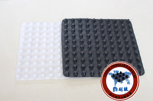 湖南排水板,長(zhǎng)沙蓄排水板,衡陽(yáng)塑料排水板廠家